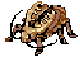 Golden Thief Bug